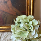 VINTAGE JENNY LIND ANTIQUE PICTURE AND FRAME