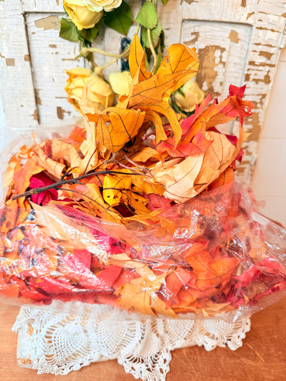 GLYCERIN PRESERVED REAL FALL AUTUMN LEAVES - 3 AVAILABLE