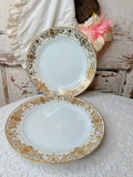VINTAGE NORITAKE SET OF 2 GOLD TRIM DINNER PLATES