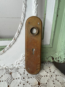 ANTIQUE ARCHITECTURAL SALVAGE DOOR PLATE #4