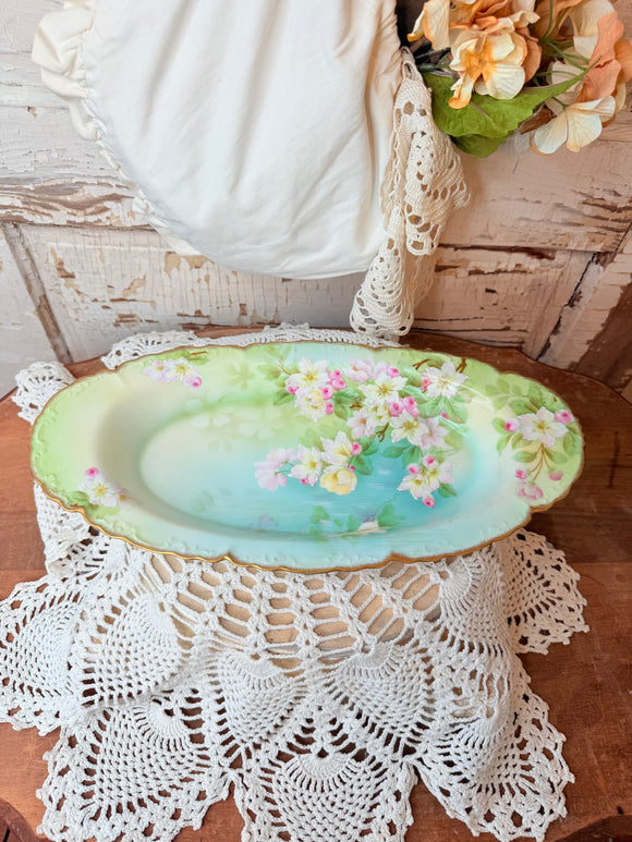 HAND-PAINTED BAVARIA MARKED VINTAGE OVAL PLATE