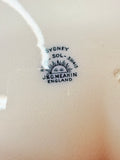 ANTIQUE IRONSTONE BLUE AND WHITE LARGE PLATTER