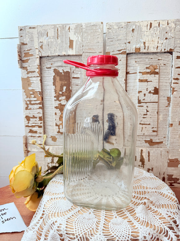 XL GLASS VINTAGE REFRIGERATOR JUG - 3 AVAILABLE