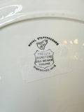 VINTAGE IRONSTONE BLUE BAMBOO OVAL PLATE