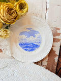 VINTAGE SHENANGO BRIGHT BLUE AND WHITE DETAILED PLATE #3