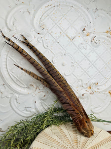 LARGE UNIQUE PHEASANT FEATHERS DECOR