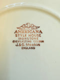 AMERICANA IRONSTONE ENGLAND BROWN PLATE DECOR