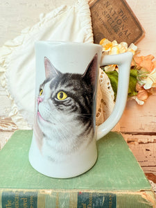 CAT STEIN