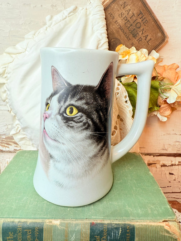 CAT STEIN