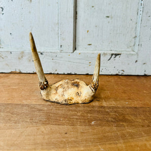 SMALL VINTAGE ANTLER DECOR