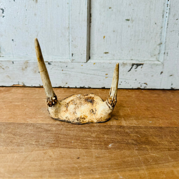 SMALL VINTAGE ANTLER DECOR
