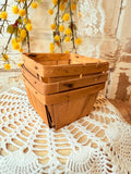 SET OF 3 AUTHENTIC BERRY BASKETS FARM