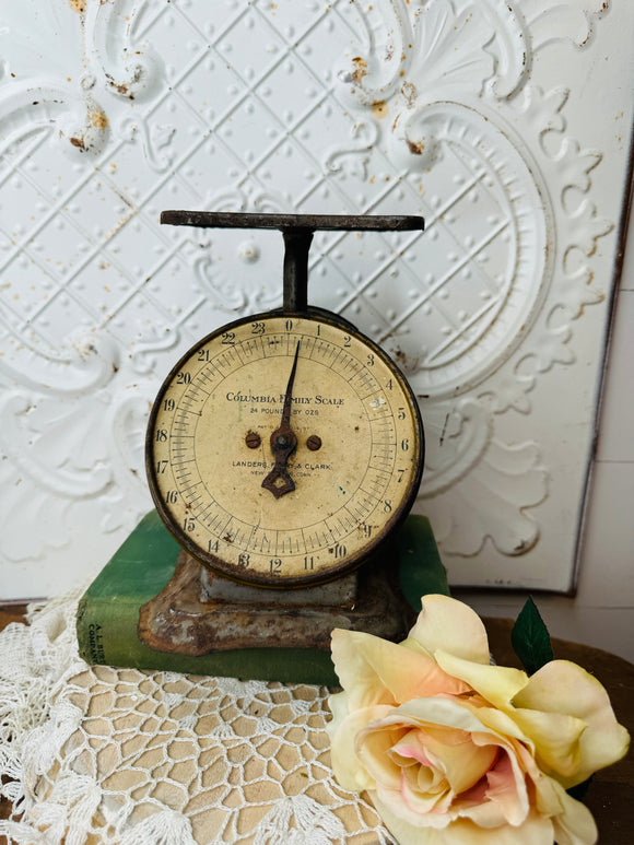 ANTIQUE AMAZING KITCHEN SCALE RUSTY CRUSTY