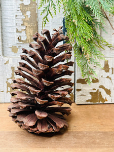 XXL PINECONE DECOR