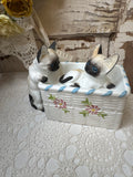 VINTAGE CATS IN BASKET MUSIC BOX