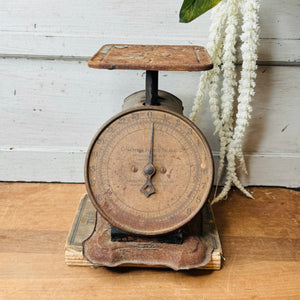 PERFECTLY PATINAD ANTIQUE SCALE