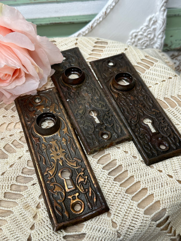 VICTORIAN DOOR PLATE - 4 AVAILABLE