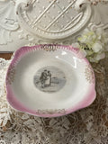 MARKED VINTAGE VICTORIAN PINK DETAILED ORNATE PLATE