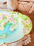 HAND-PAINTED BAVARIA MARKED VINTAGE OVAL PLATE