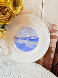 VINTAGE SHENANGO BRIGHT BLUE AND WHITE DETAILED PLATE #2