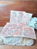 SET OF VINTAGE INSPIRED MUSHROOM EPHEMERA