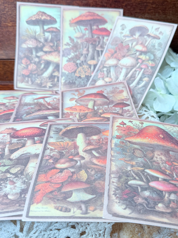 SET OF VINTAGE INSPIRED MUSHROOM EPHEMERA